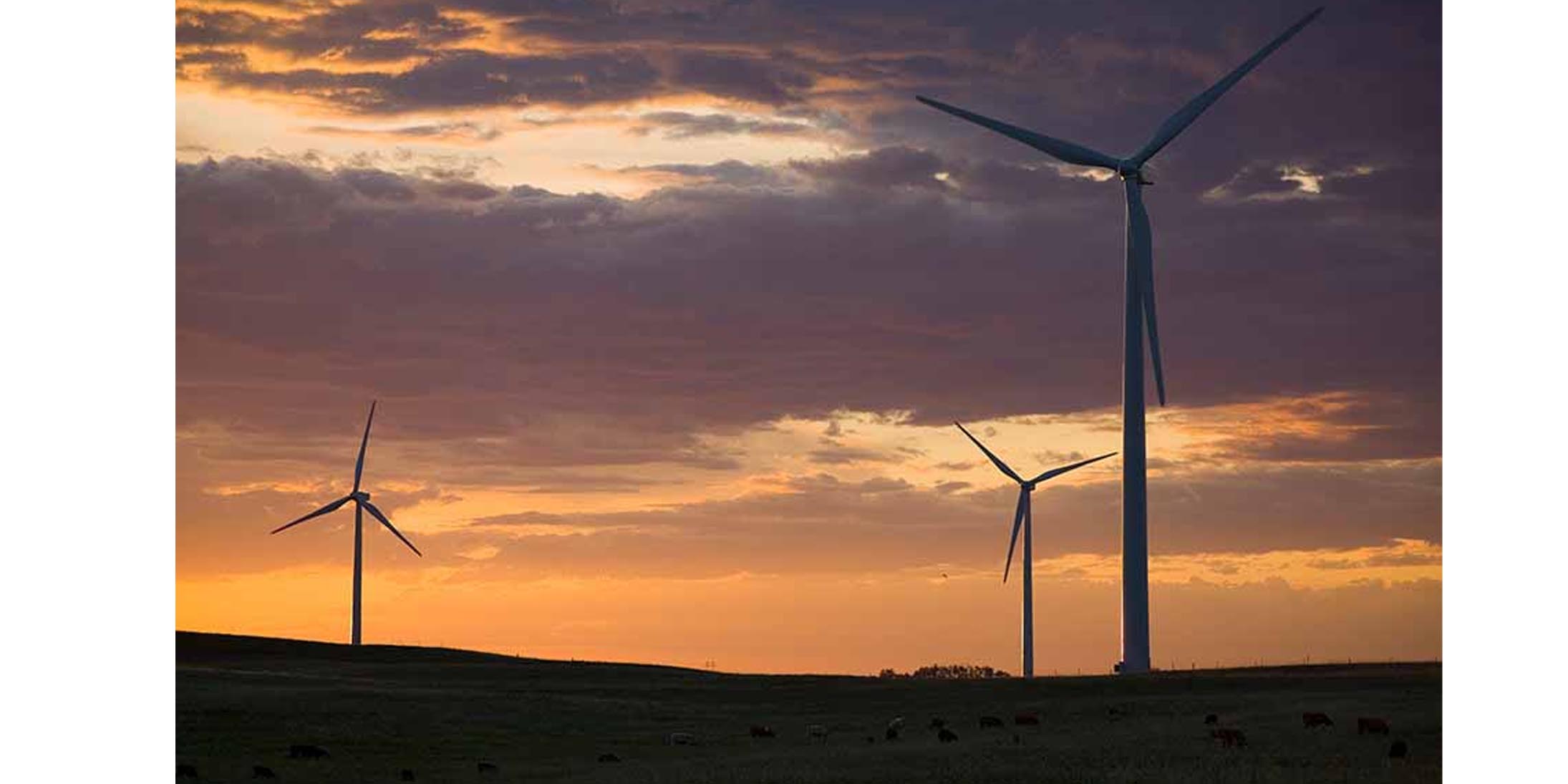 The company's history | ACCIONA The company's history | ACCIONA